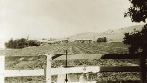 Sepia photo of a ranch in Antioch