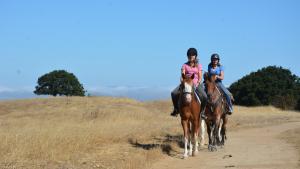Equestrian trail users