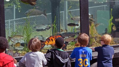 Kids viewing the mobile fish exhibit