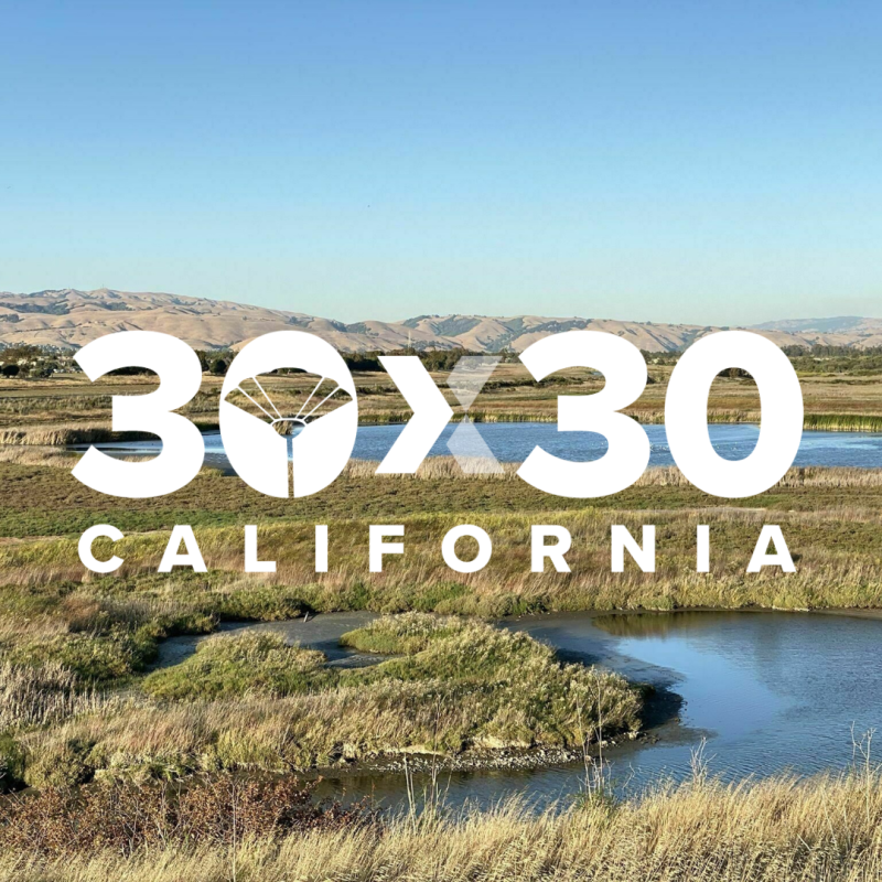 California’s 30x30 Partnership Coordinating Committee