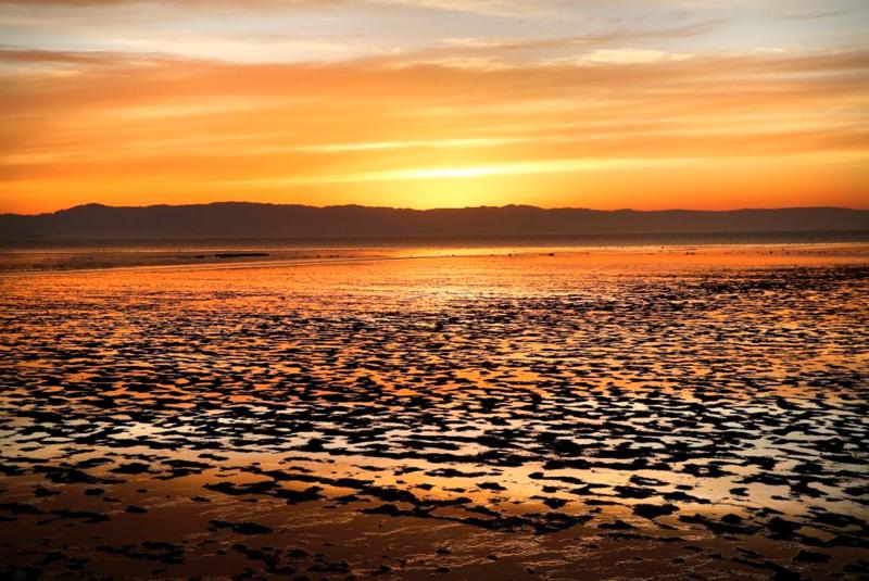 Sunset at Hayward Regional Shoreline by Michael Short