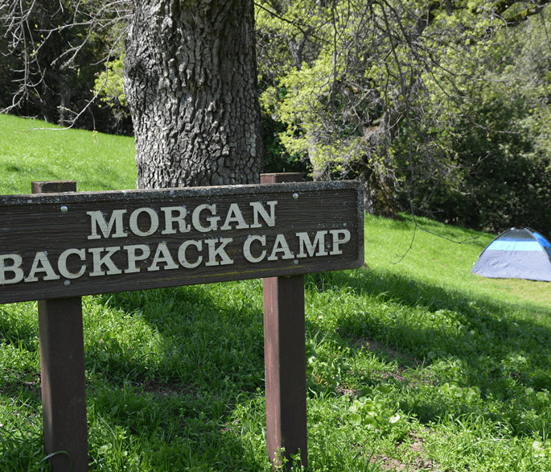 Morgan Territory Morgan Backpacking Campsite