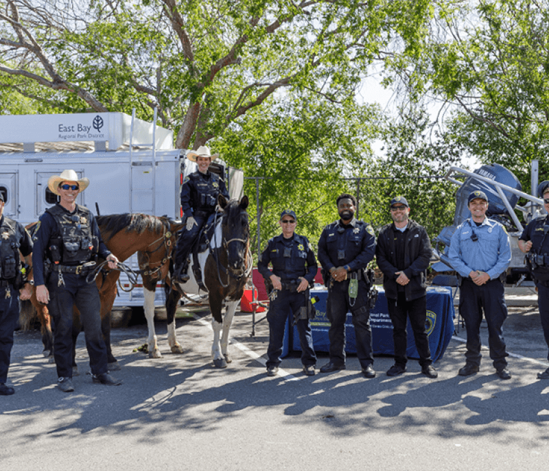 Police officer and horse, group of officers and 4x4 Police vehicle