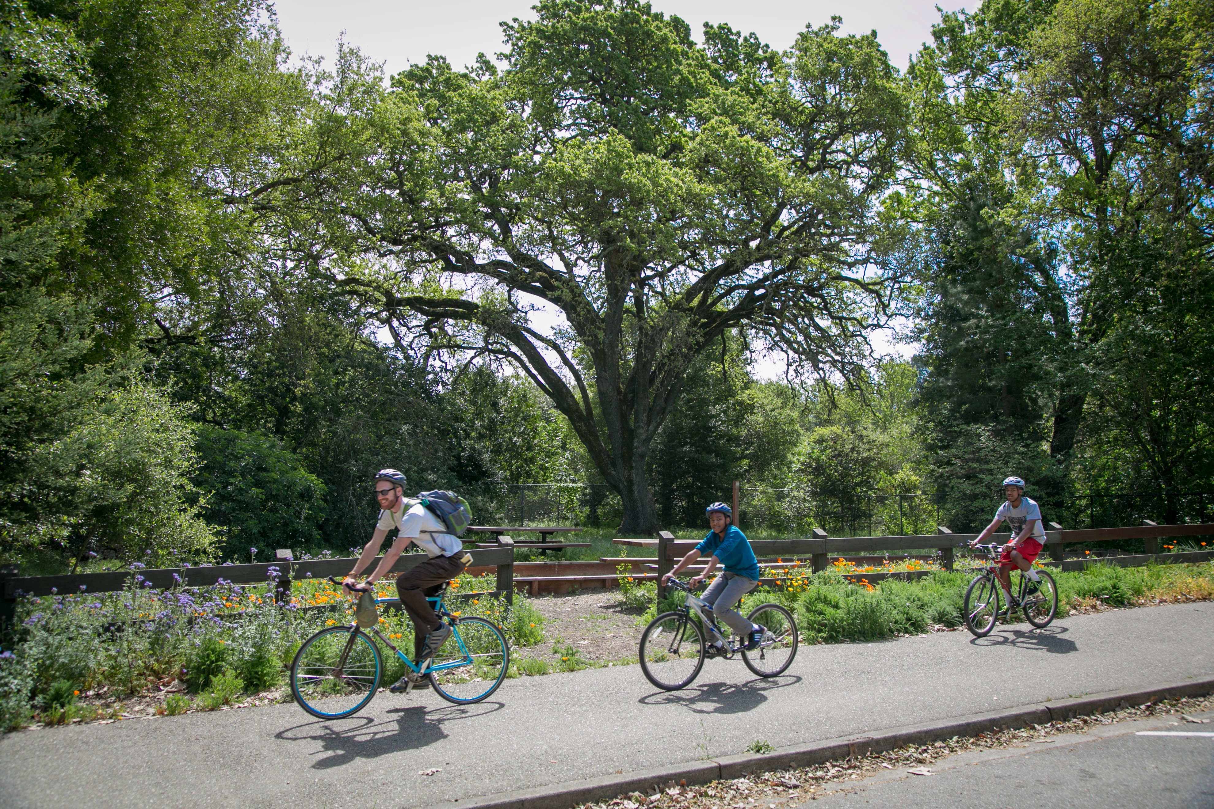 paved bike riding trails near me