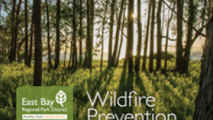 2018 Wildfire prevention postcard