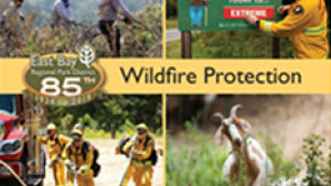 2019 wildfire protection postcard