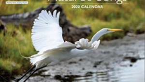 2020 Calendar Cover