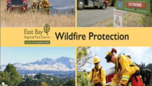 2020 wildfire protection postcard