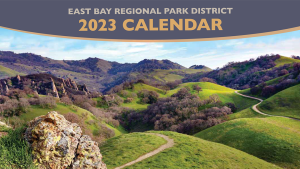 2023 Wall Calendar Cover