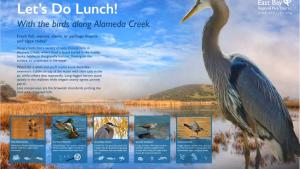 Alameda Creek Trail Interpretive Panel - Let's Do Lunch!