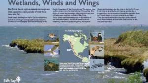 Wetlands, winds and wings