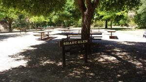 Shady Glen 1