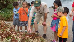 Naturalista enseñando a los niños sobre la naturaleza en Crab Cove