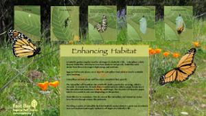Enhancing the butterfly habitat interpretive panel