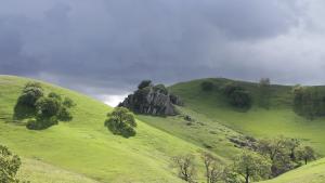 China Wall along the Briones Mt Diablo Trail by Mary Malec