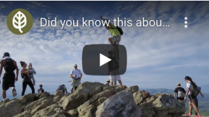 Did you know this about East Bay Parks? Thumbnail