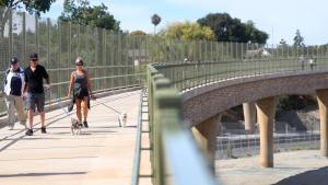 People walking dogs on bridge