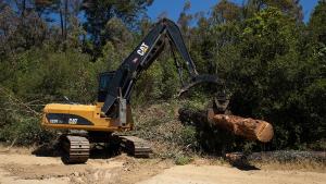 Excavadora derribando árboles muertos