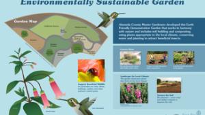 Environmentally sustainable garden infographic
