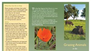 Grazing Animals Brochure