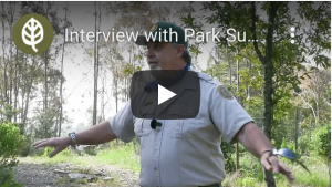 Kev xam phaj nrog Park Supervisor Jim Rutledge los tshawb txog Sibley Redwood Reintroduction Project Thumbnail