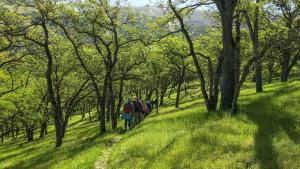 Excursionistas en Black Oak Grove en Del Valle por Jerry Ting