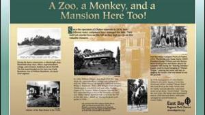 A zoo, a monkey, and a mansion here too!