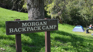 Morgan Territory Morgan Backpacking Campsite