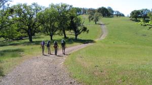 Cuatro excursionistas en Ohlone Wilderness