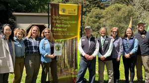 Attendees celebrate induction of Reinhardt Redwood Regional Park into Old-Growth Forest Network 