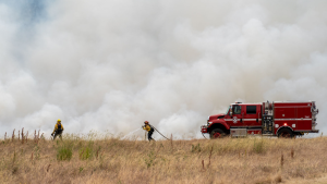 Point Pinole controlled burn