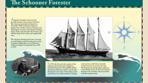 The Schooner Forester