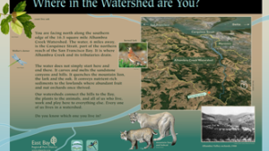 Where in the watershed are you?