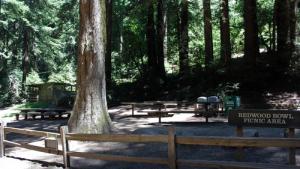RedwoodBowl 1