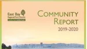 Community Report Image