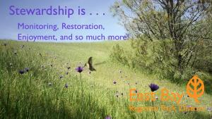 Stewardship-is