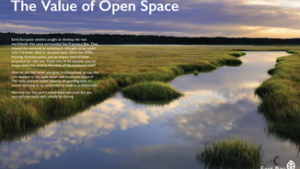The Value of Open Space