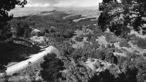 Vista Tilden, hacia 1940