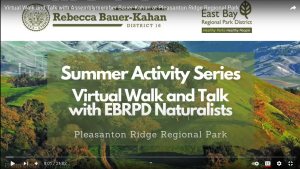 Virtual walk and talk Pleasanton Ridge