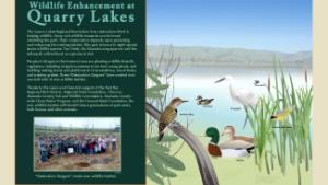 Wildlife enhancement at Quarry Lakes infographic