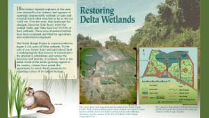 Restoring Delta Wetlands Interpretive Panel 