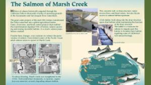 Salmon of Marsh Creek Interpretive Panel 