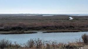 View of Cogswell Marsh from West Winton Landfill
