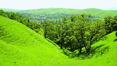 Sycamore Valley Open Space Regional Preserve