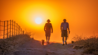 Dos excursionistas y un perro pequeño caminando con sol naranja, bajo en el cielo, detrás de ellos