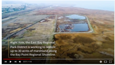Wetland Restoration is Working at Bay Point Regional Shoreline Youtube Thumbnail
