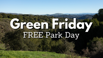 Green Friday FREE Park Day