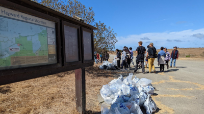 Coastal Cleanup Volunteers
