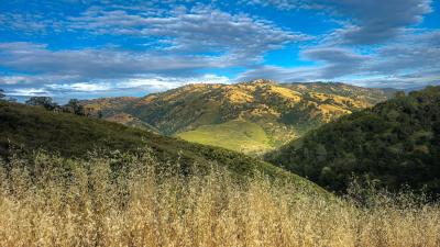 Along the Ohlone Wilderness Trail by Jim Van Slyke