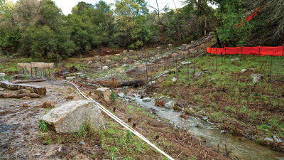 McCosker Creek Restoration and Public Access Project